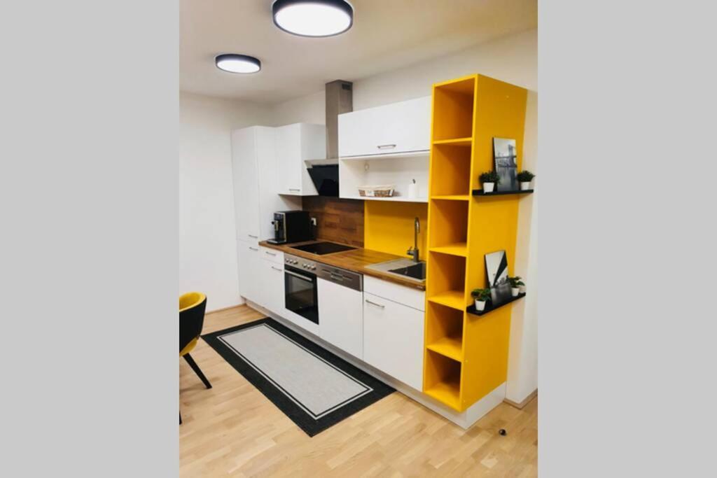 Leon Apartment Neu! Gemuetlichkeit An Erster Stelle Линц Екстериор снимка